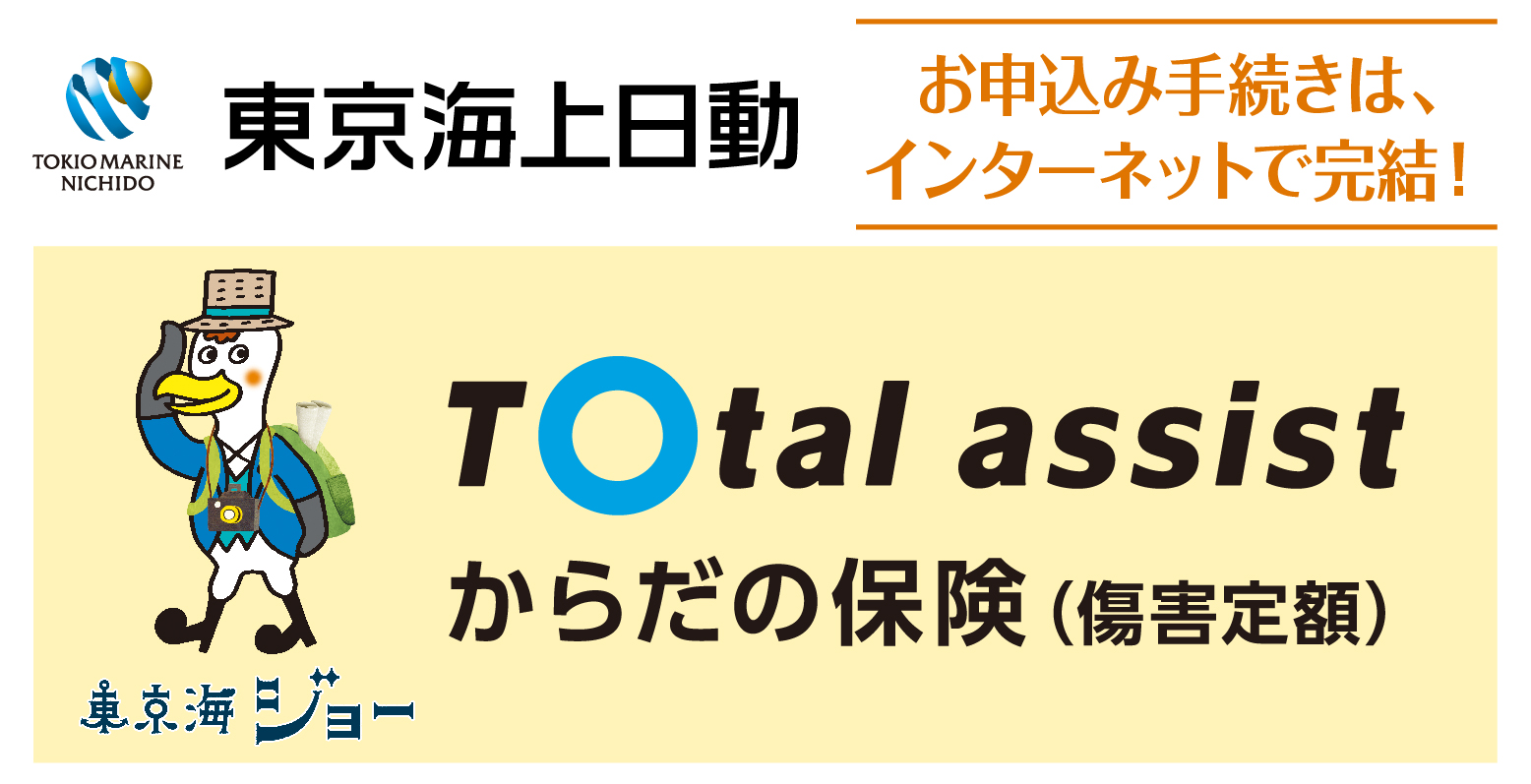 東京海上日動火災 からだの保険(障害定額)